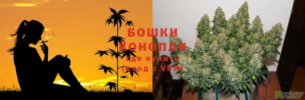 прущая мука Богданович