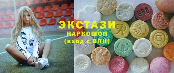 молекула духа Богородицк